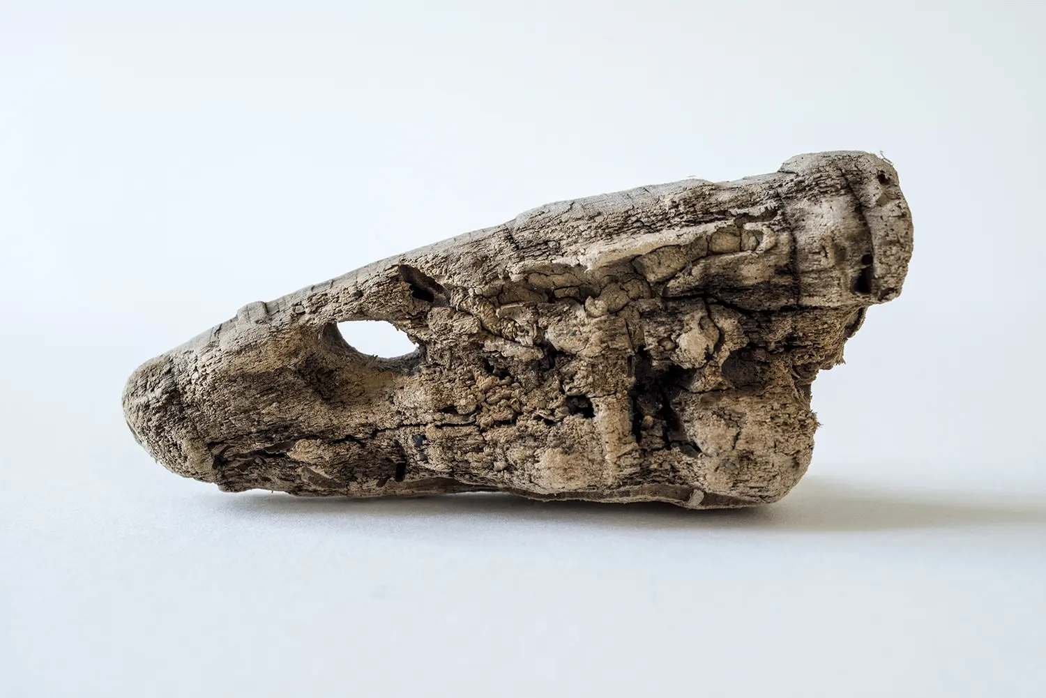 <b>BUSHMASTER</b> ©2015 Ink jet print on Hahnemühle Photo Rag Ultrasmooth edition 1/3 / 113cm x 80cm