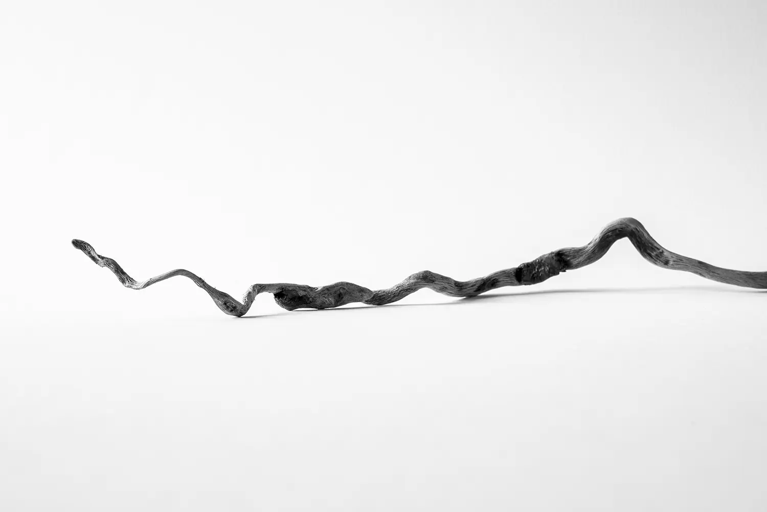 <b>GARTER</b> ©2015 Ink jet print on Hahnemühle Photo Rag Ultrasmooth edition 1/3 / 113cm x 80cm