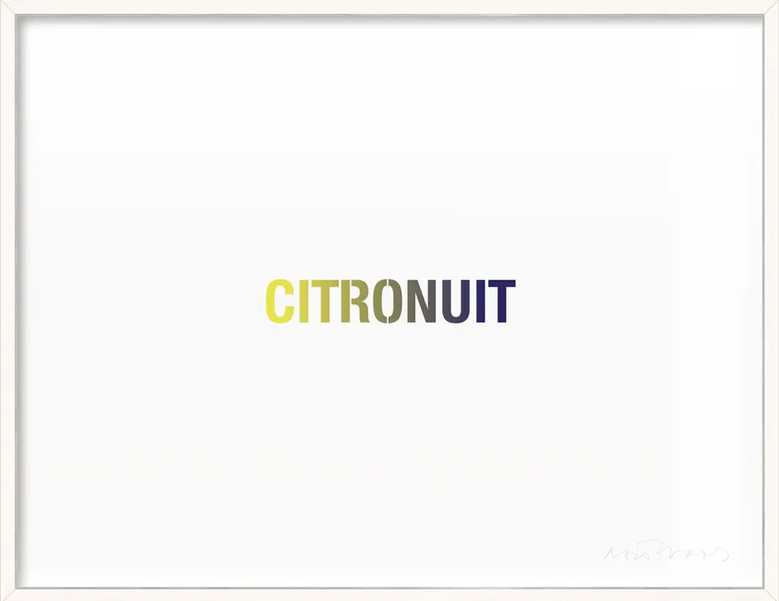 <b>CITRONUIT</b> ©2012 Ink jet on paper / Signed editions / 48.3cm x 32.9cm