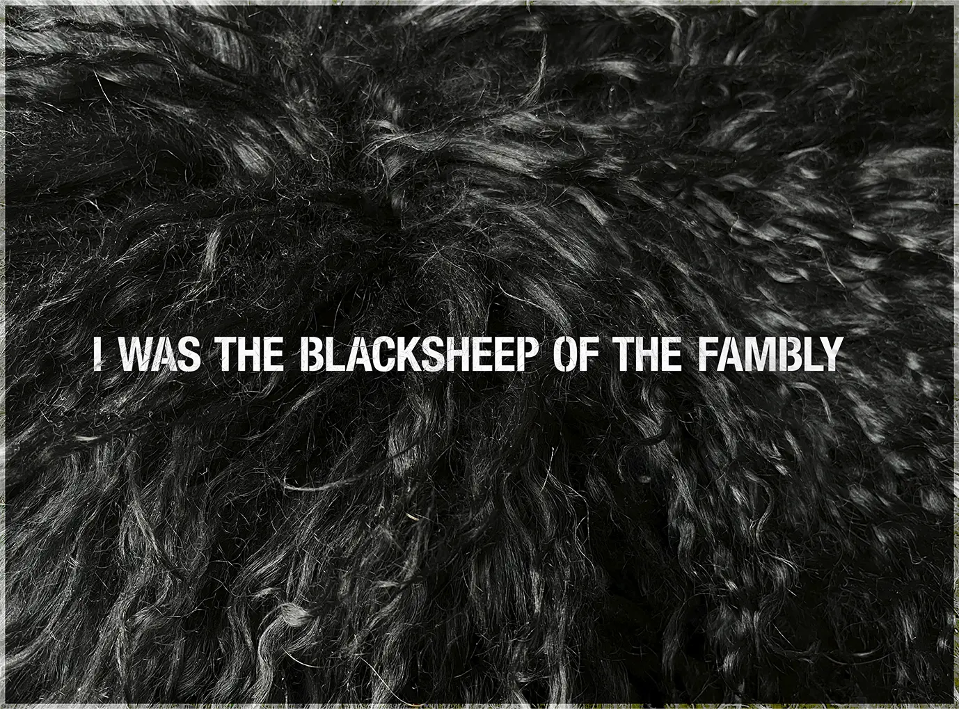 <b>BLACKSHEEP</b> ©2026 Sheepskin sculpture & text / 40cm x 30cm