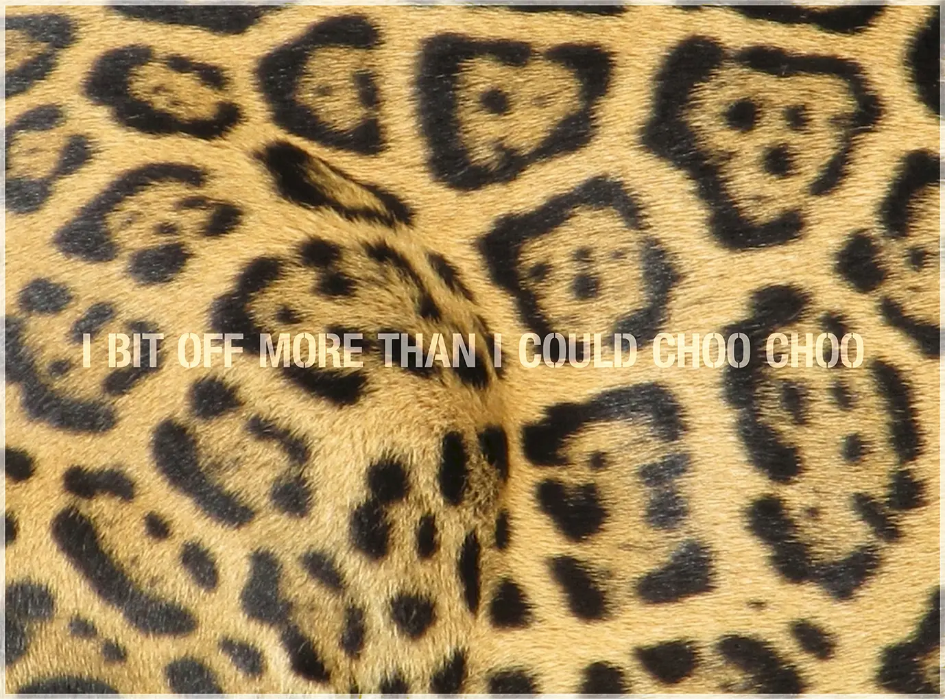 <b>CHOO CHOO</b> ©2026 Fur sculpture & text / 40cm x 30cm