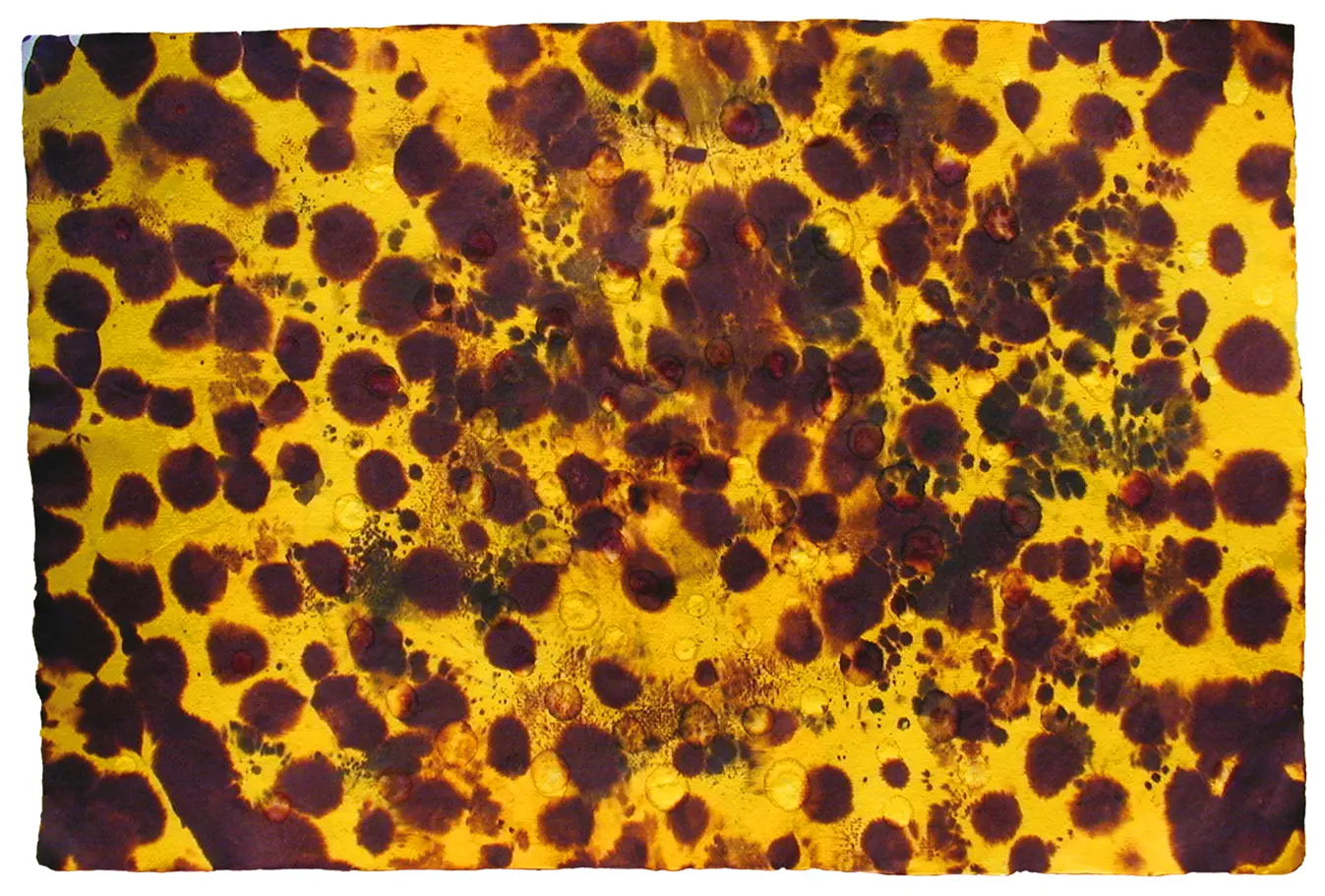 <b>LEOPARD</b> ©2002 Mixed media on handmade paper / 76cm x 52cm