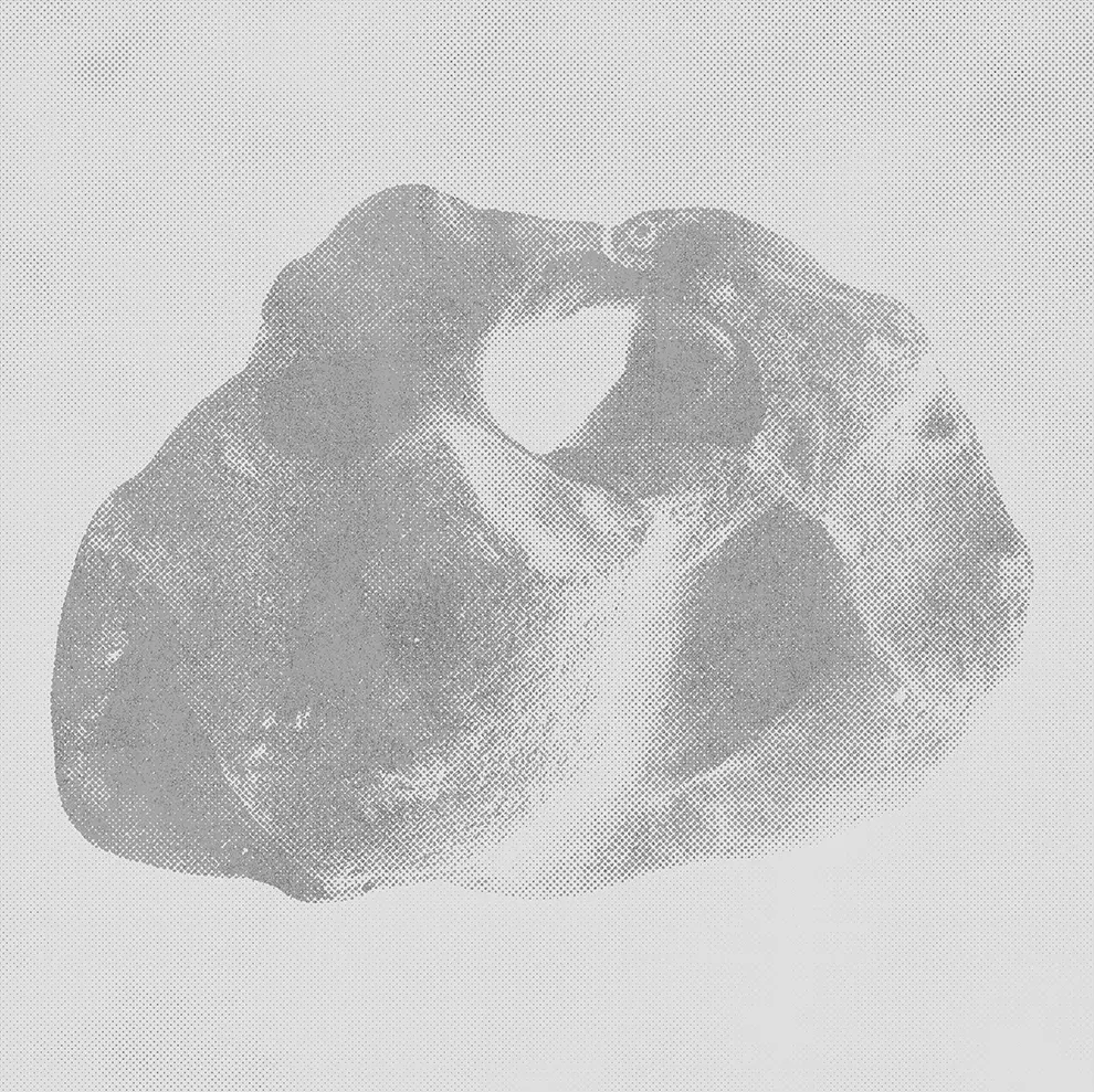 <b>ROCKSKULL#1</b> ©2024 Ink jet on Japanese paper / 32.9cm x 48.3cm