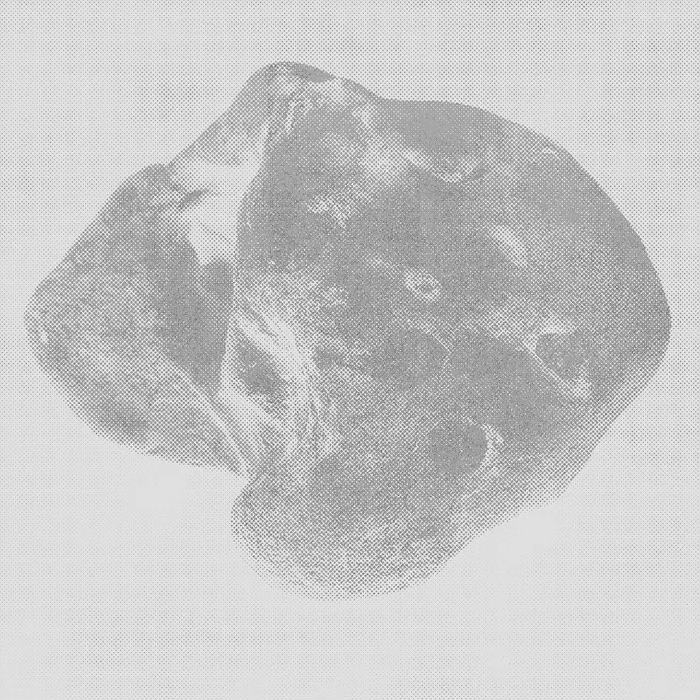 <b>ROCKSKULL#4</b> ©2024 Ink jet on Japanese paper / 32.9cm x 48.3cm