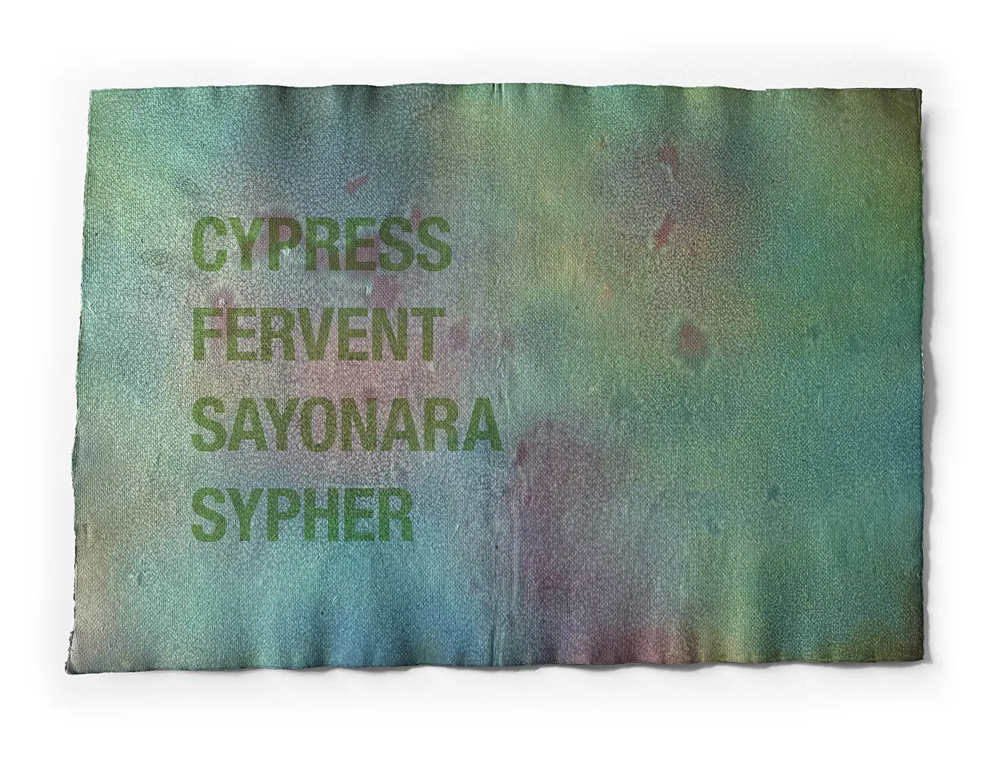 CYPRESS ©2026 Ink on paper / 76cm x 51cm